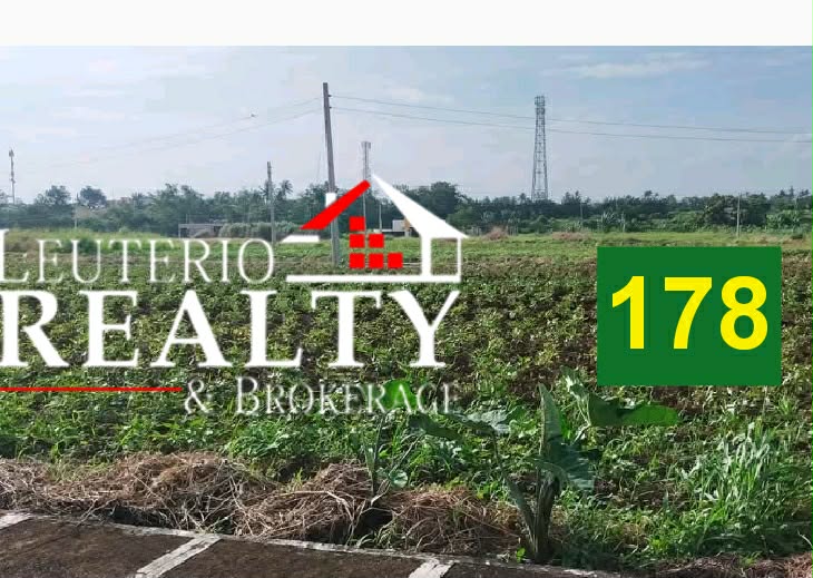 BROKERAGE: RESIDENTIAL LOT FOR SALE in Bicol — real estate listing image 5